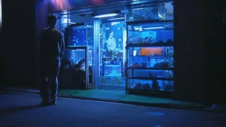 Kakuto (2003)