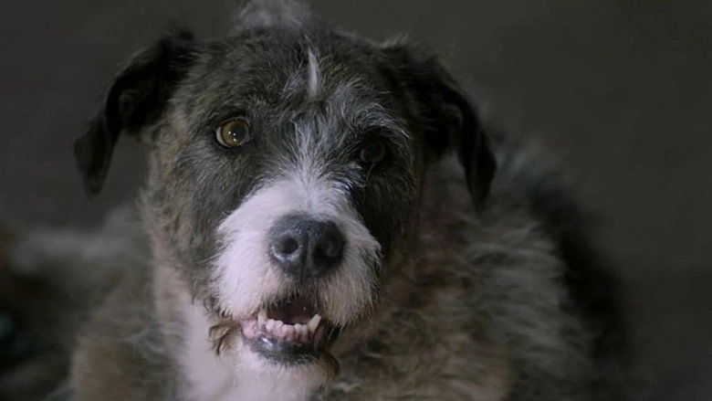 Life With Dog (2018)