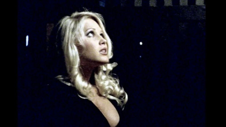 Playboy Video Playmate Calendar 2001 (2000)