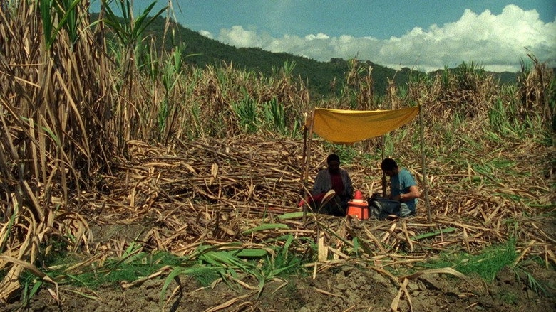 Corta (2012)