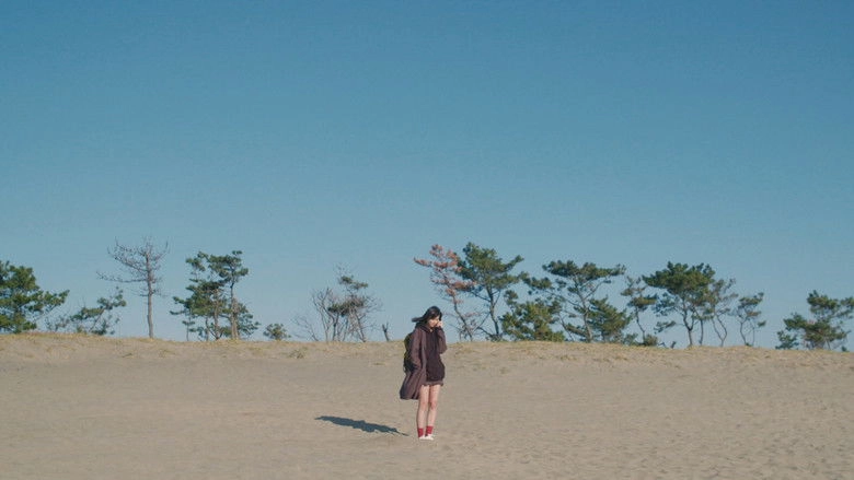 About Miss Azami (2020)