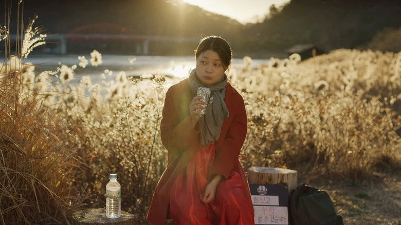 Sinsegyerobuteo (2023)