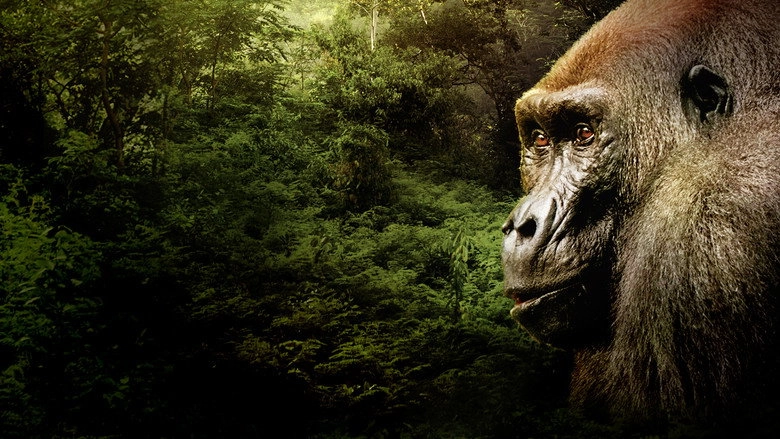 Gorillas Close Up (2022)