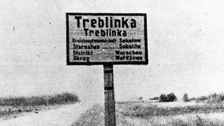 Treblinka's Last Witness (2012)