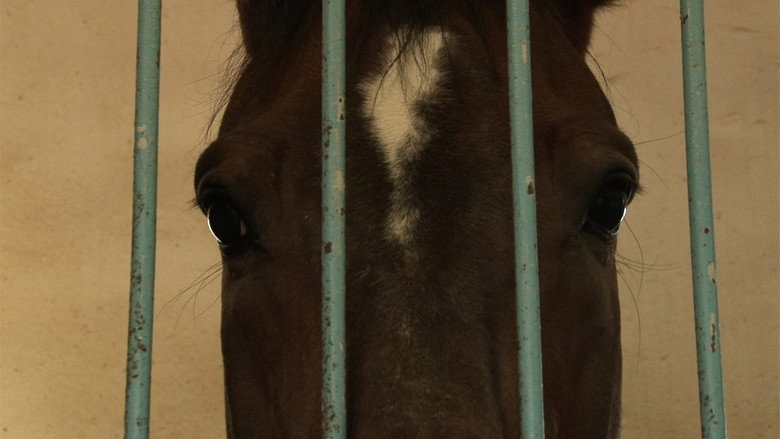Two Sides Of One Horse (2013)