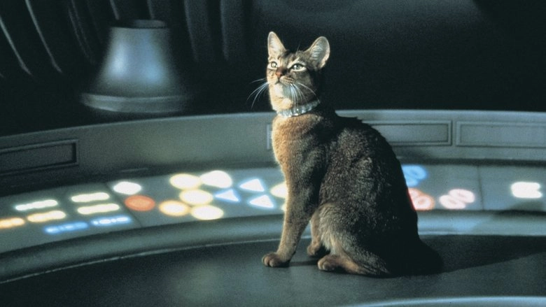 The Cat From Outer Space (1978)