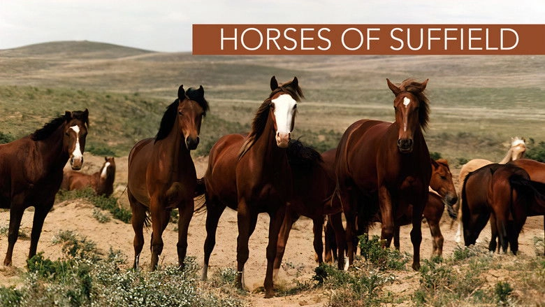 Horses of Suffield (1998)