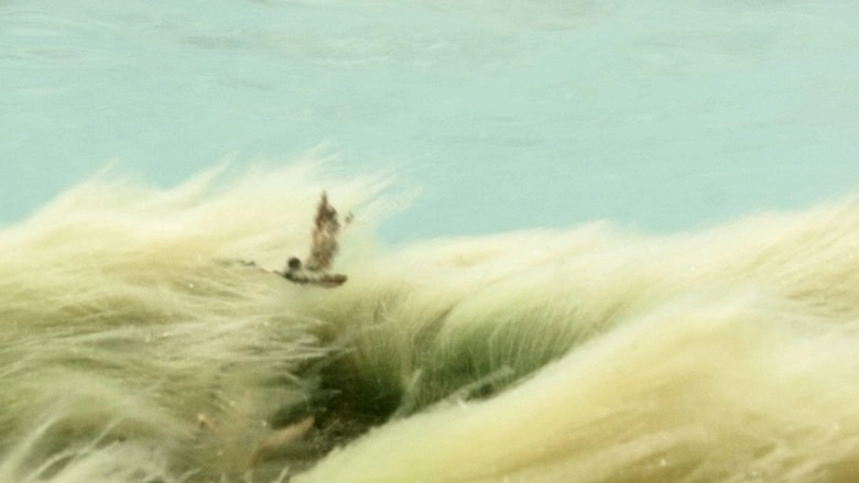 Wildness Of Waves (2018)