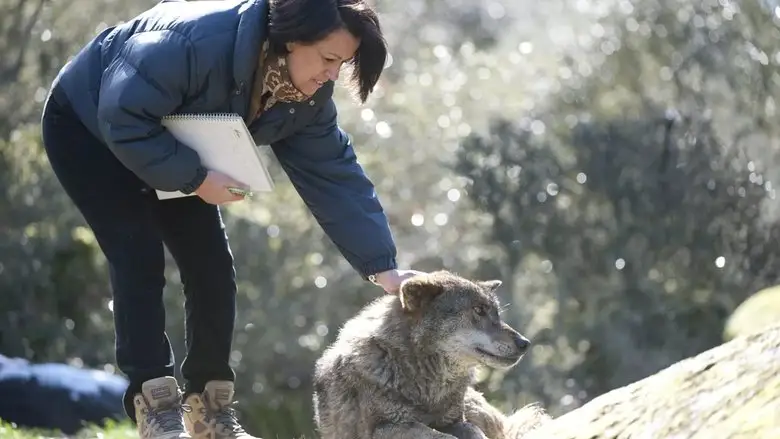 Donana: Donde El Agua Es Sagrada (2025)