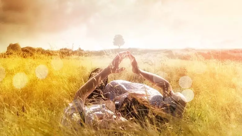 The History Of Love (2016)