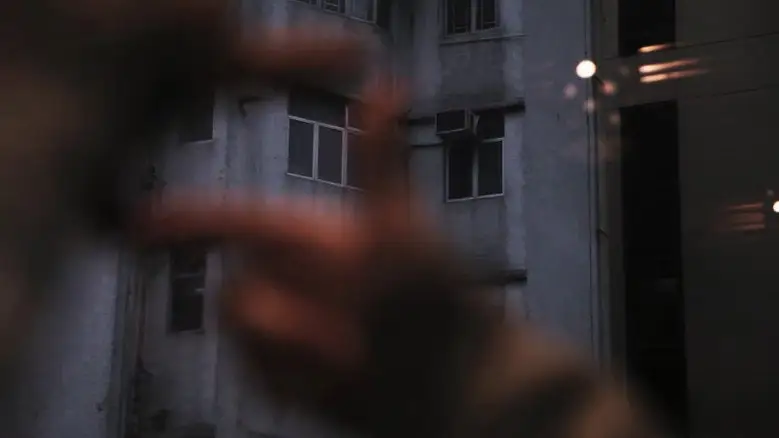 Joy (2013)