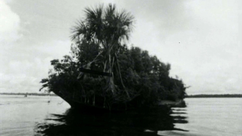 Leon G. Damas (1995)