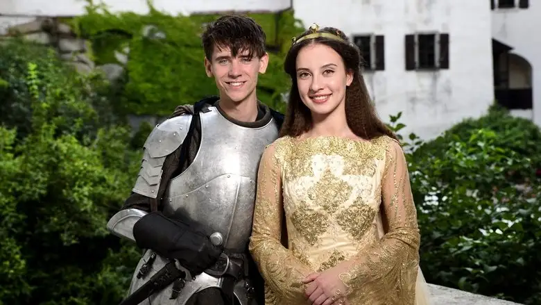 The True Knight (2016)