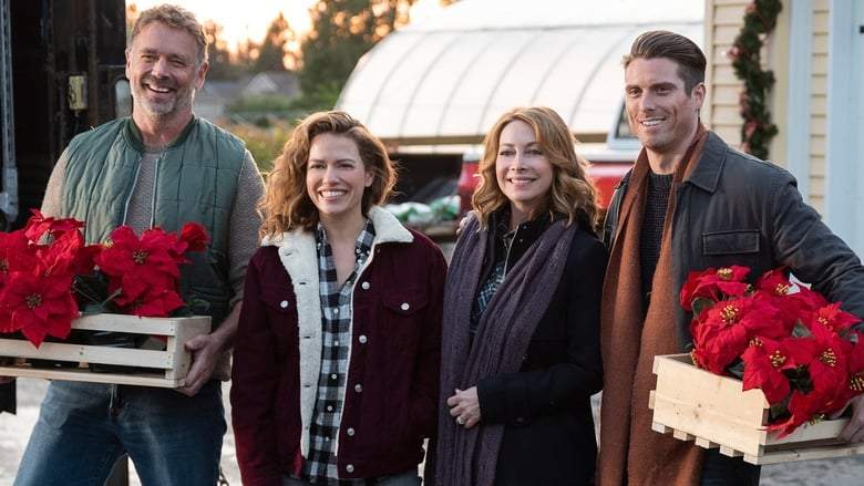 Poinsettias For Christmas (2018)