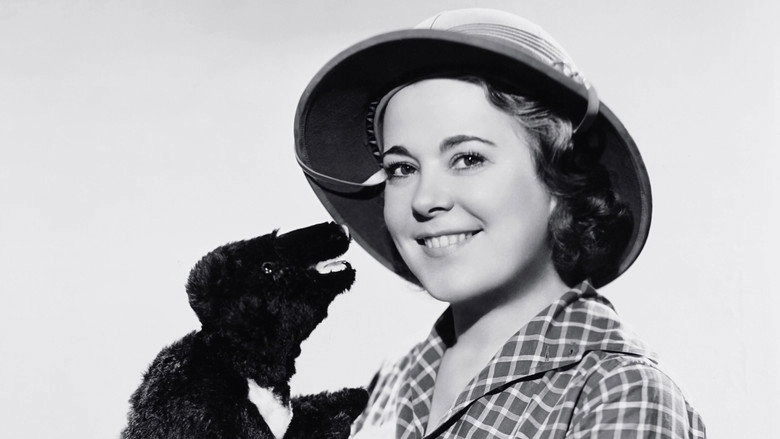 I Married Adventure (1940)