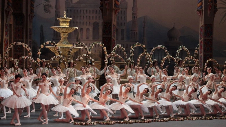Bolshoi Ballet: Le Corsaire (2012)