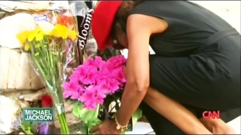 Michael Jackson - The Final Days (2014)