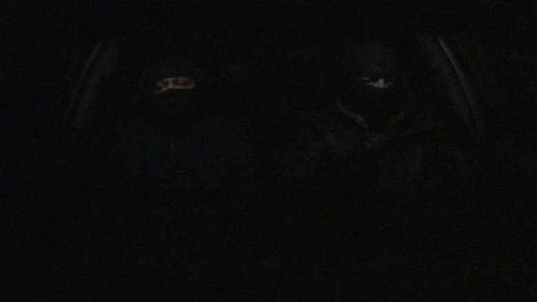The Wolves (2012)