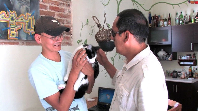 La Historia Detras Del Candigato (2013)