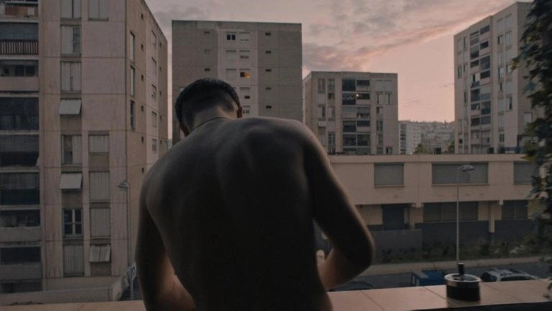 Je Vois (2019)