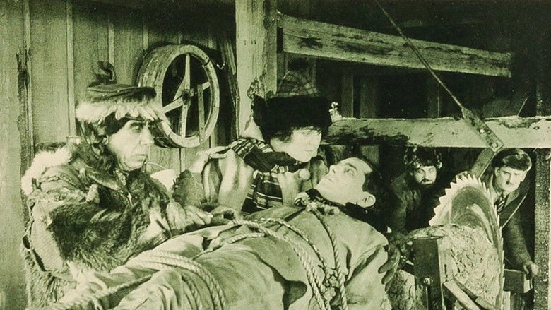 Perils Of Thunder Mountain (1919)