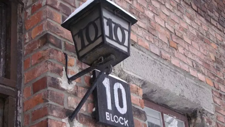 Made In Auschwitz: The Untold Story Of Block 10 (2019)