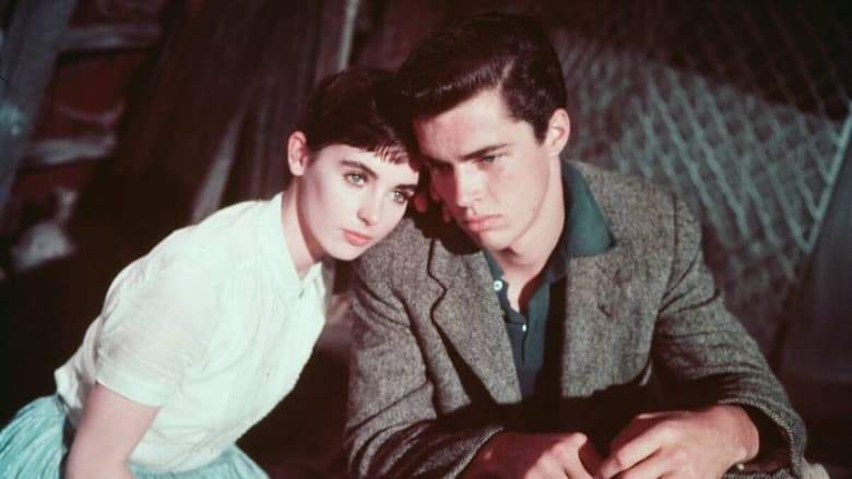 The Diary Of Anne Frank (1959)