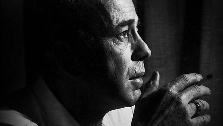 The Rules Of Film Noir (2009)