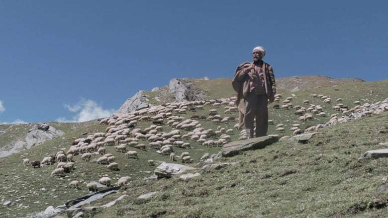 The Gold-Laden Sheep And The Sacred Mountain (2018)