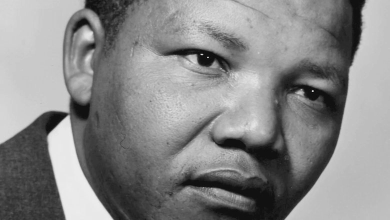 Life Is Wonderful: Mandela's Unsung Heroes (2018)