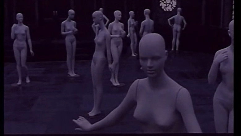 Yi Ge Si Zhe Dui Sheng Zhe De Fang Wen (1988)