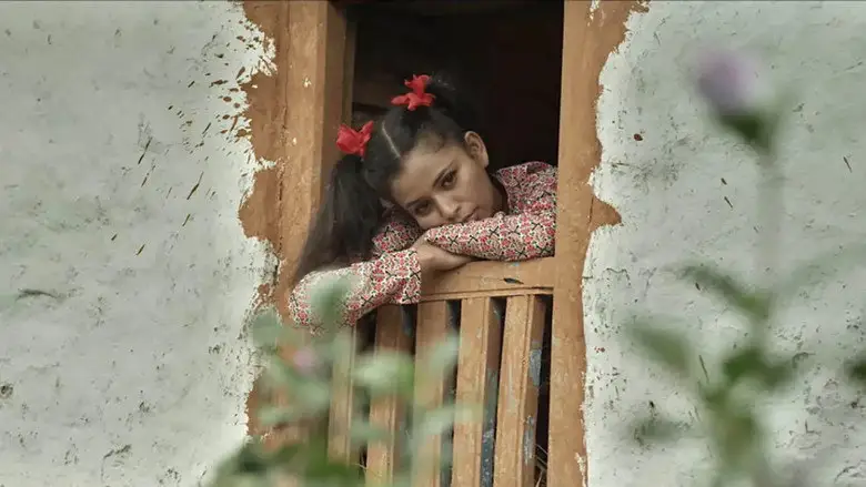 Panchayat (2017)