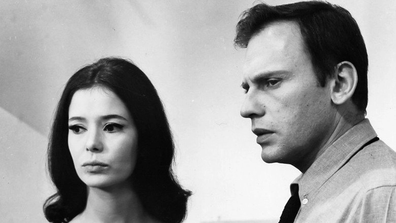 Safari Diamants (1966)