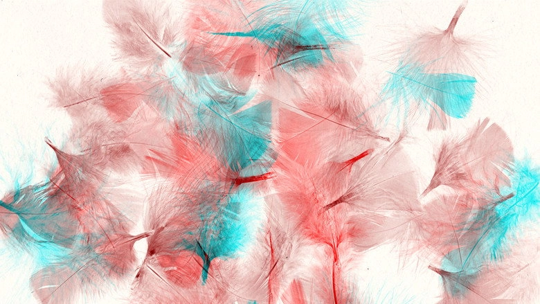 Les Oiseaux (2023)