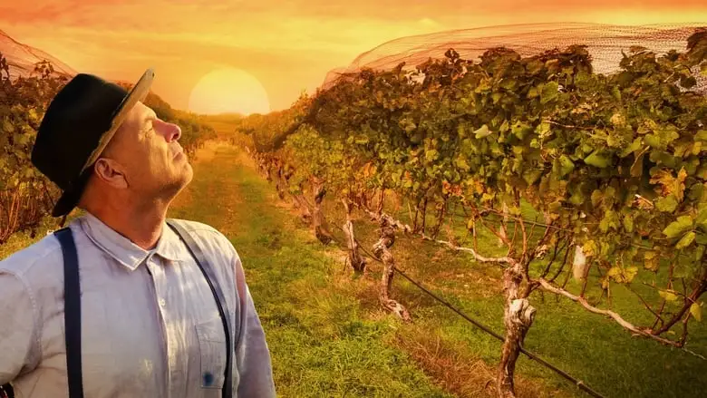 From The Vine (2019)
