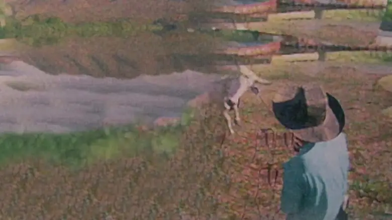 Pantanal: Las Aguas De La Vida (1997)