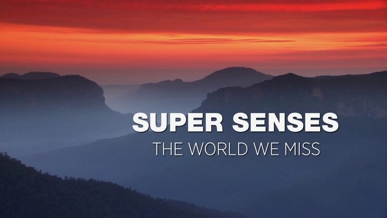 Super Senses (2021)