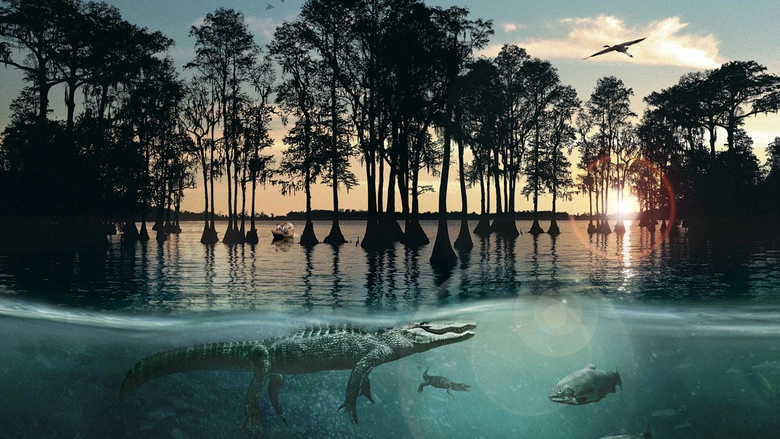 Hurricane On The Bayou (2006)