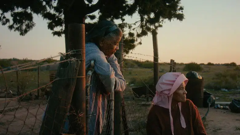 Variations On A Theme (2026)