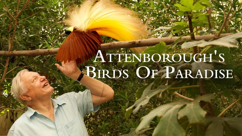 Birds Of Paradise (2010)
