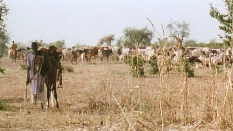 La Colere Des Dieux (2003)