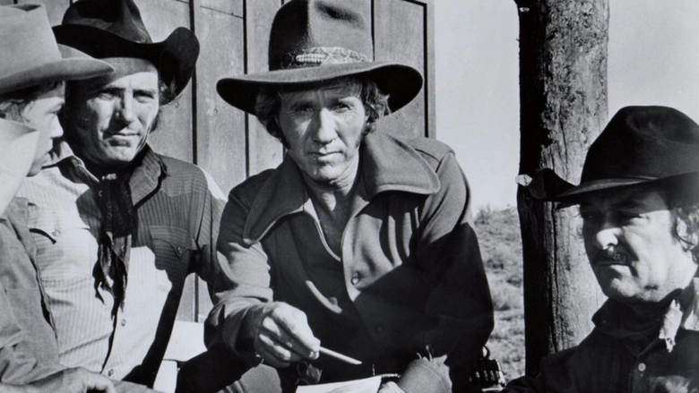 Guns Of A Stranger (1973)