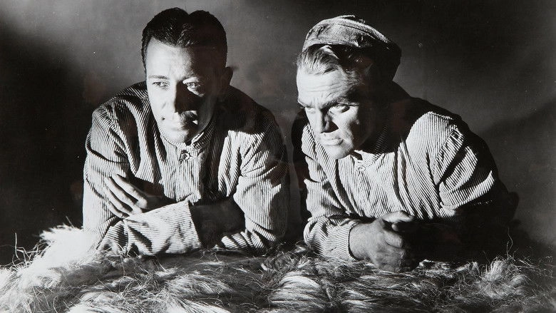 Each Dawn I Die (1939)