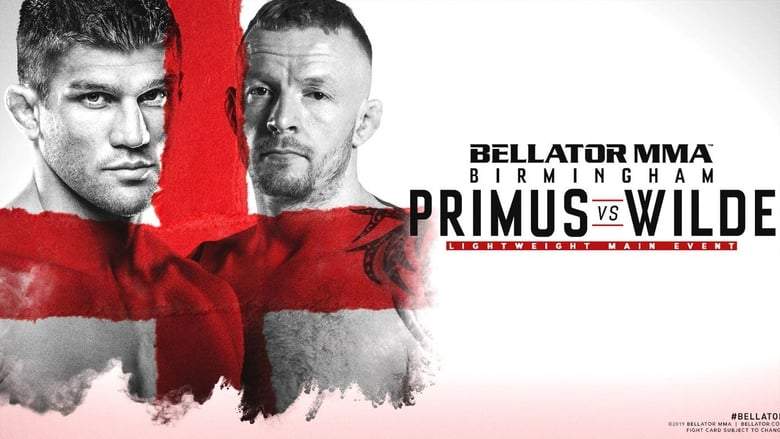 Bellator Birmingham (2019)