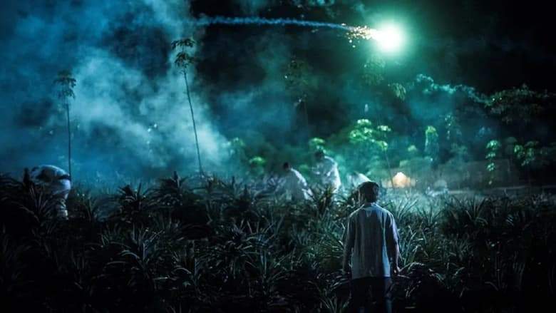 1999 (2023)