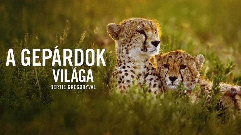 Cheetahs Up Close With Bertie Gregory (2026)
