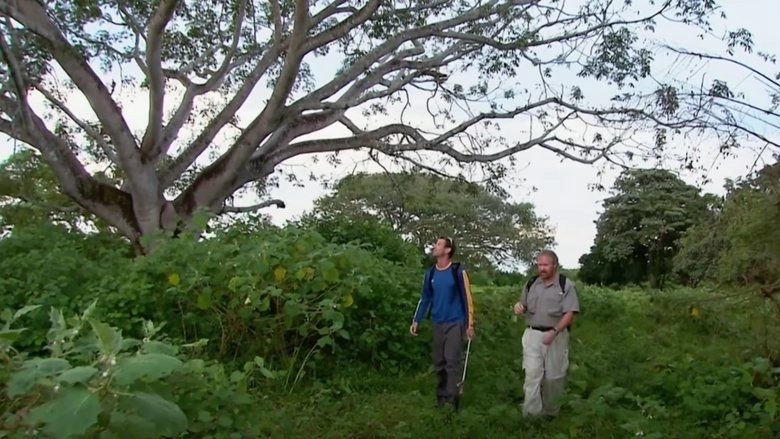 The Real Lost World (2006)