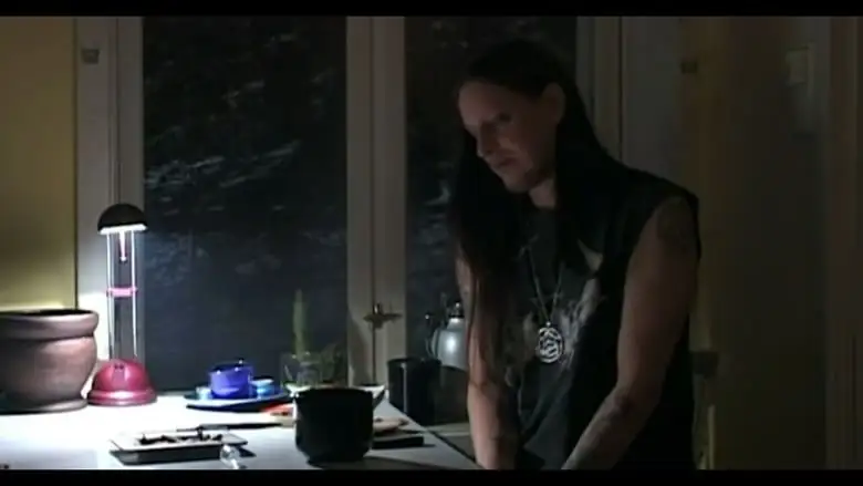 Until The Light Takes Us (2008)