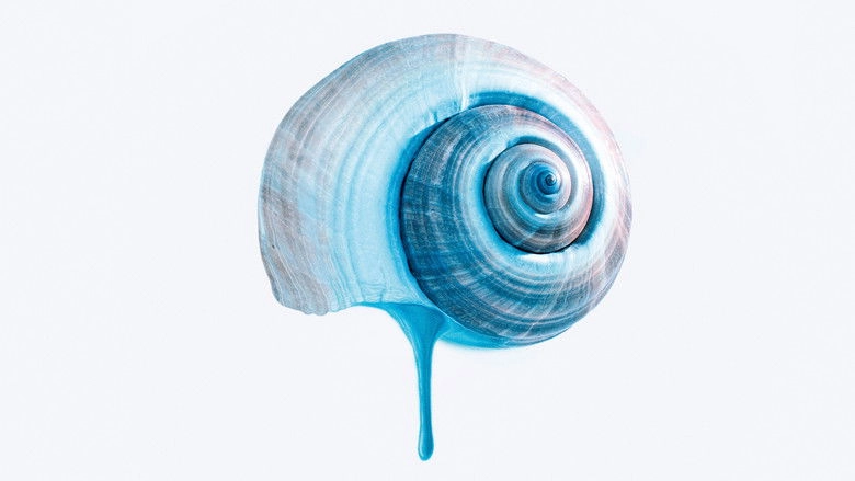 The Blue Trail (2025)