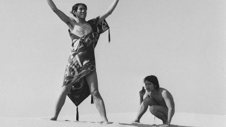 The Kingdom (1973)